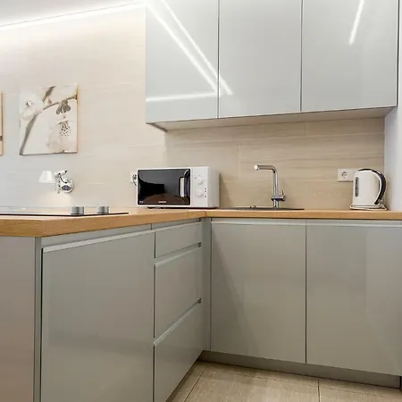 Gyneju Lux Apartamento Vilnius